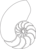 Nautilus Shell Outline Clip Art