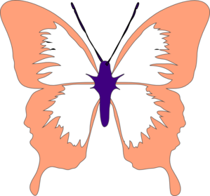Peach Butterfly Clip Art
