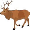 Reindeer Clip Art