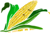 Corn Gradient Clip Art