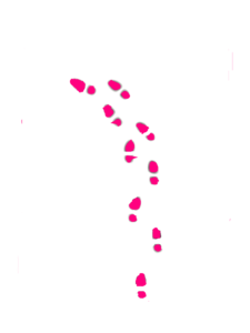 Pinkshoes Clip Art