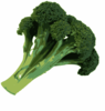 Broccoli Clip Art