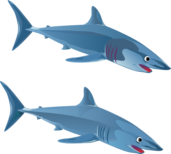Blue Shark Clip Art at Clker.com - vector clip art online, royalty free ...