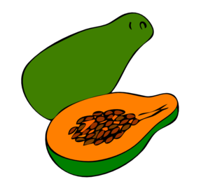 Papaya 4 Clip Art