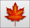 Maple Leaf Clip Art