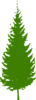 Green Pine Tree Clip Art
