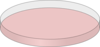 Pale Pink Petri Dish Open Clip Art