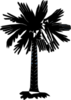 South Carolina Flag Palmetto With No Moon - Black And White Clip Art