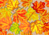 Fall Leaves, Superbright Clip Art