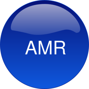 Amr Clip Art At Clker Com Vector Clip Art Online Royalty Free Public Domain