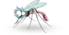 Funny Mosquito From Side Clip Art
