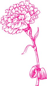 Pink Carnation Sketch Clip Art