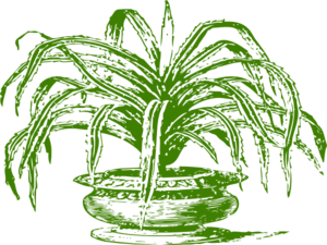 Potted Tree Clip Art