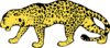 Leopard Clip Art