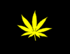 Cannibus Leaf Stars And Stripes Yellow Clip Art