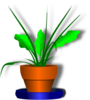 Flower Pot With Green Plant Clip Art