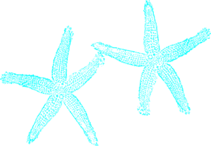 Aqua Blue Starfish Clip Art