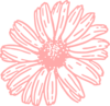 Pink Daisy Clip Art