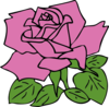 Pink Rose Clip Art