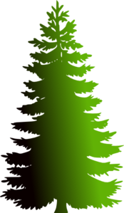 Evergreen With  Shade  Gradient Clip Art
