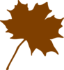 Burnt Orange Maple Leaf Clip Art