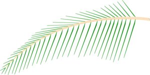 Leaf Clip Art
