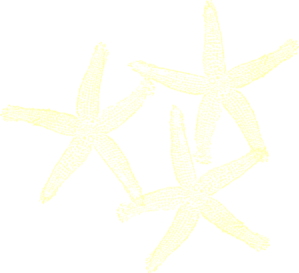 Starfish Cream Clip Art
