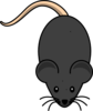 Black Mouse Clip Art