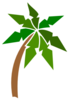 Coconut Tree Clip Art