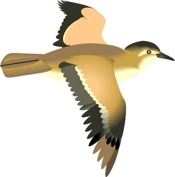 Flying Bird Clip Art at vector clip art online