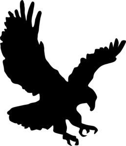 download applications of organometallic