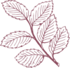 Purple Leafy Clip Art