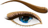 Human Eye 2 Clip Art