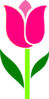 Pink Graphic Flower Clip Art