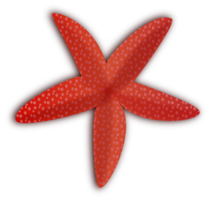 Starfish Clip Art