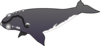 Whale Clip Art