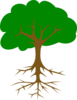 Stuck Tree Clip Art