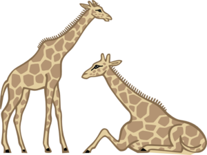 Giraffes Clip Art