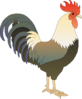 Rooster Clip Art