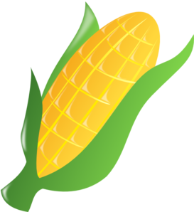 Yellow Corn  Clip Art