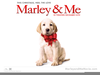 Marley And Me Image