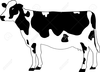 Hereford Clipart Image