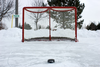 Hockey Net And Puck Image