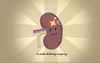 Funny Kidney Clipart Image