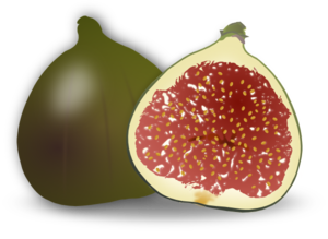 Fig Fruit Clip Art