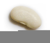 Single Bean Seed Image