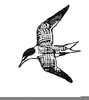 Seagull Bird Cartoon Image
