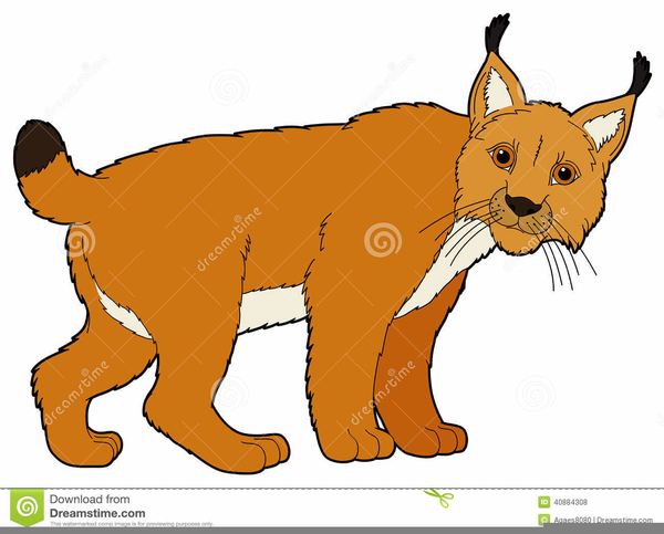 Wildcat Cartoon Clipart | Free Images at Clker.com - vector clip art