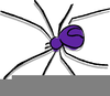 Clipart Picture Of Spiders Image