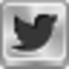 Free Silver Button Twitter Bird Image